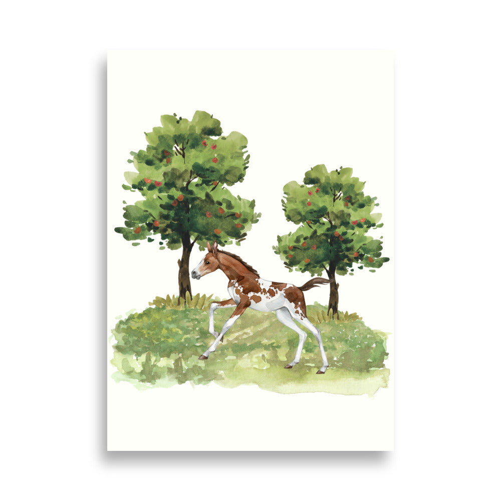 Foal Poster