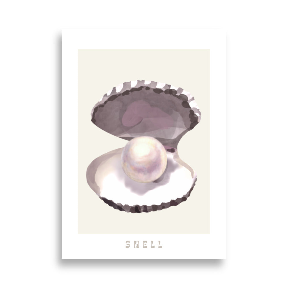Seashell Poster
